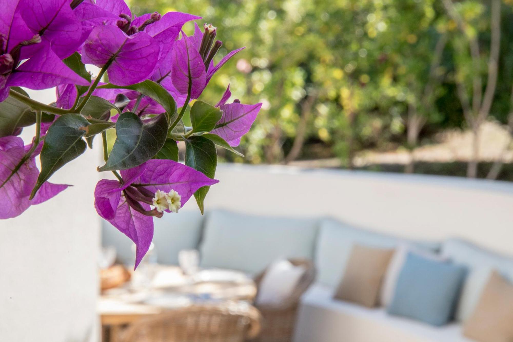 Boutique Hotel Chateau Rouher 普罗普里亚诺 外观 照片